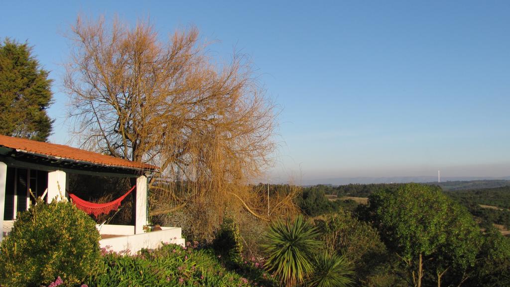 Casa Dos Mangues Guest House Sao Martinho do Porto Exterior photo